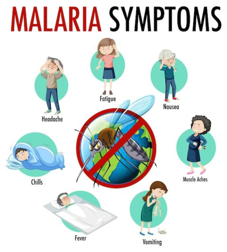 Indonesia Optimis Mampu Bebas Malaria pada 2024